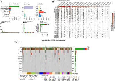 Comprehensive Pan-Cancer Analysis of Senescence With Cancer Prognosis and Immunotherapy